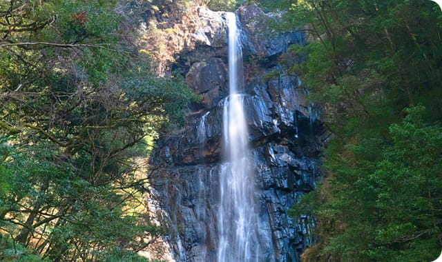 矢研の滝